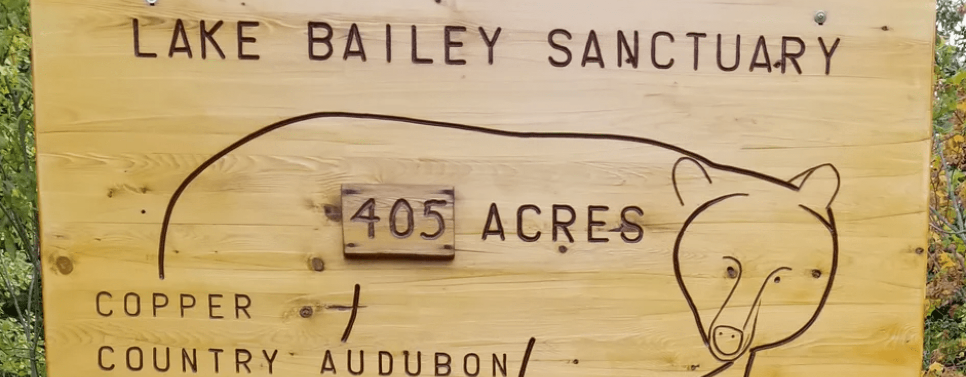 Lake Bailey 